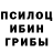 Галлюциногенные грибы Psilocybine cubensis 6027054710