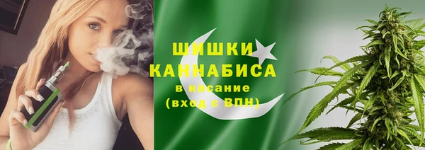 мет Щигры