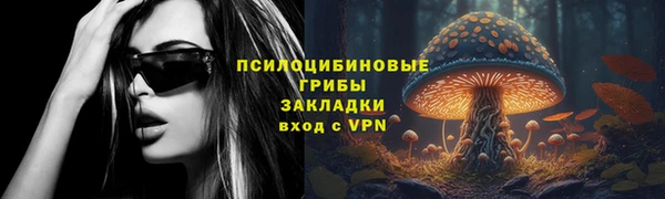 метамфетамин Щучье