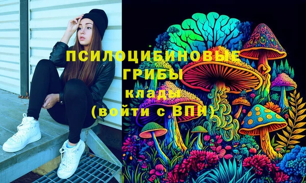 мет Щигры