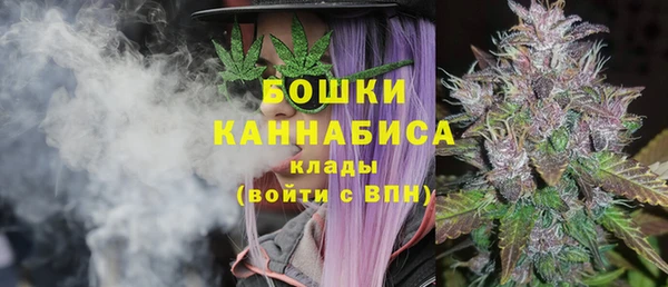 мет Щигры