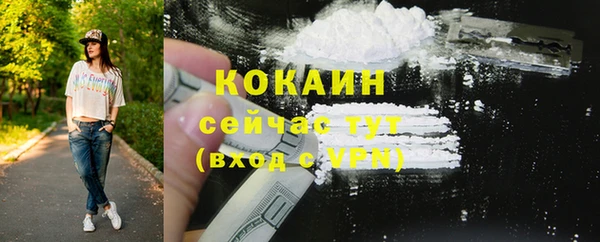 мет Щигры