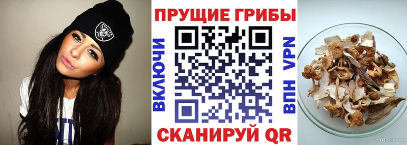 Псилоцибиновые грибы ЛСД  Купить где  Ворсма 